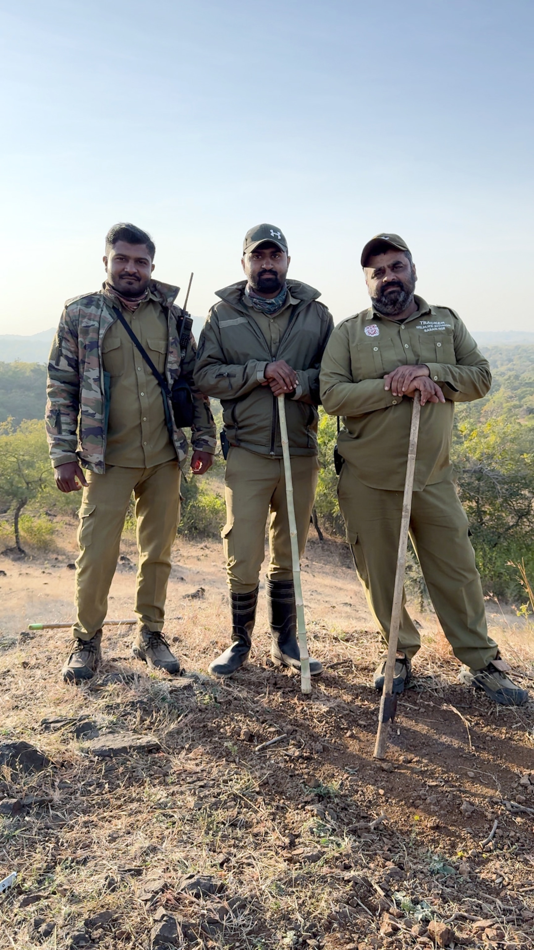 how-a-national-geographic-photographer-tracked-india-s-last-lions